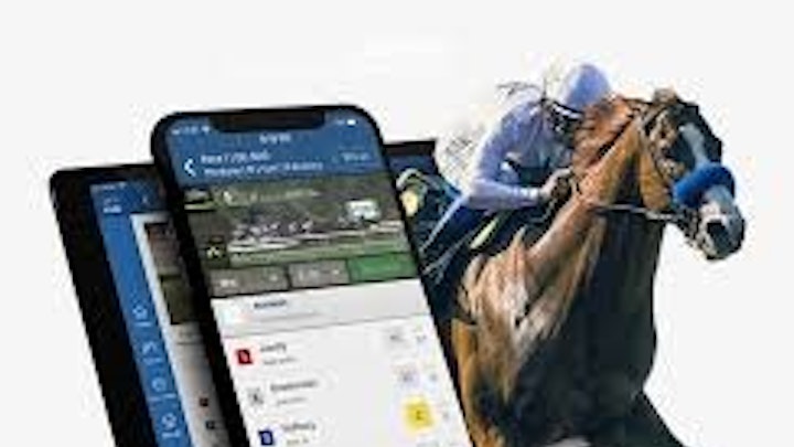 Understanding Class Levels in Horse Racing and Their Betting Implications