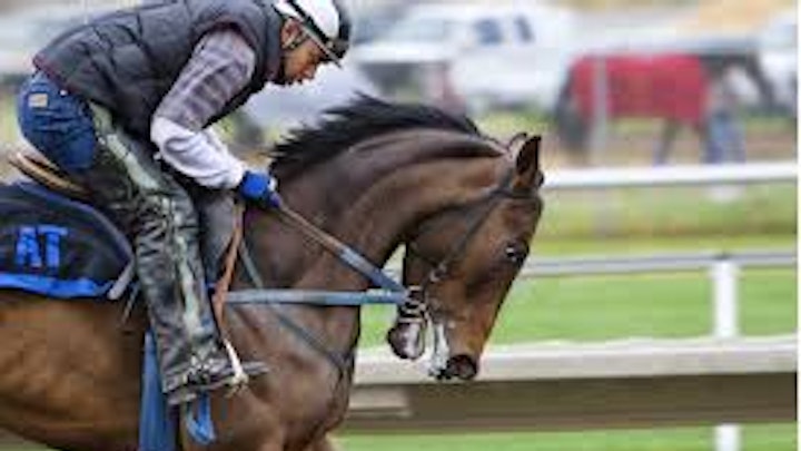 Why Betting on Favorites Isn’t Always the Best Strategy