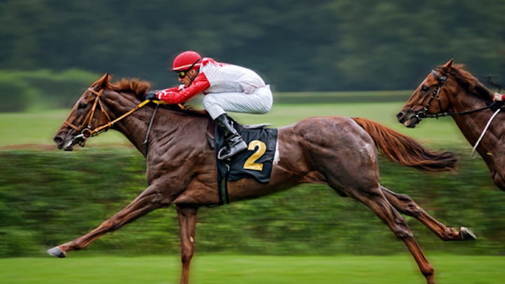 How Bloodline Analysis Can Give Bettors an Edge in Young Horse Racing