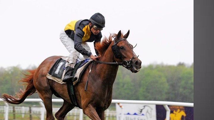 Horse Racing and Media Coverage- Evolution and Influence