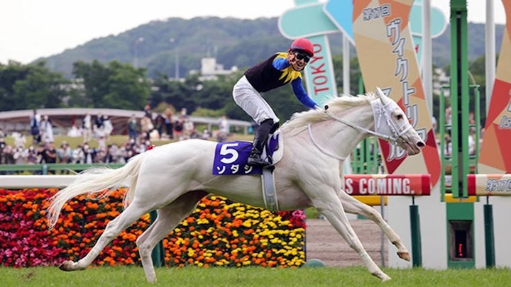 Horse Racing Betting Odds Explained- Interpreting Probabilities and Payouts