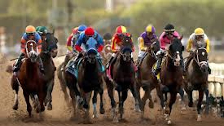 The Science of Breeding Champion Racehorses for Speed and Stamina