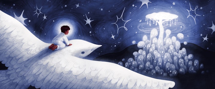 TDC_12-13 cropped copy