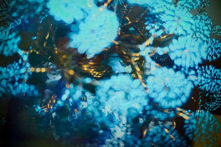 While exploring the depths of my living room's trench, I discovered this stunning reef formation. Legend has it that this reef guards one's secrets and, in return, grants the finder a single white stone—if they can make it to the surface.
I used ICM (Intentional Camera Movement), a slow shutter speed, and flash, along with post-editing, to enhance the dreamy, underwater-like atmosphere.