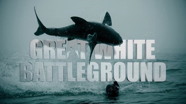 Great White Battleground