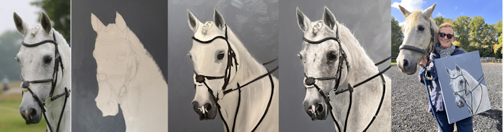 Showcasing a Showhorse