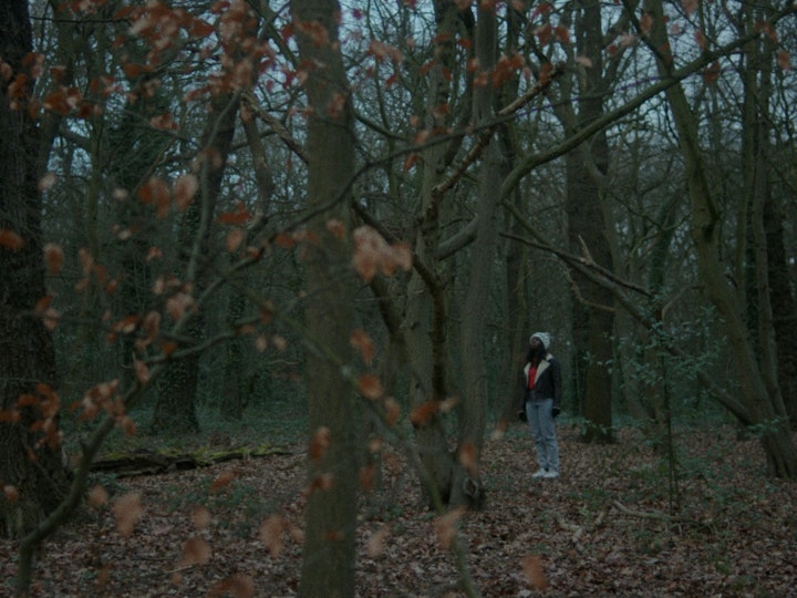 Just Let Me Know // Short