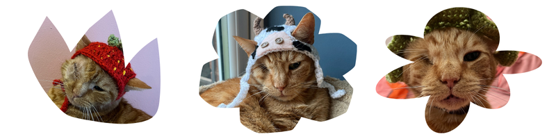 three images of a ginger cat with one eye wearing various hats. one looks like a strawberry, another like a cow, and another is green.