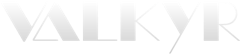 Valkyr Inc.