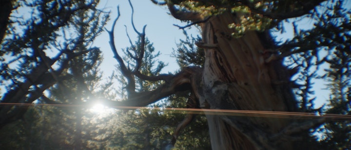 "Life's Too Short for Boring Cars"