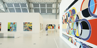 Screen Shot 2024-08-21 at 2.45.35 PM