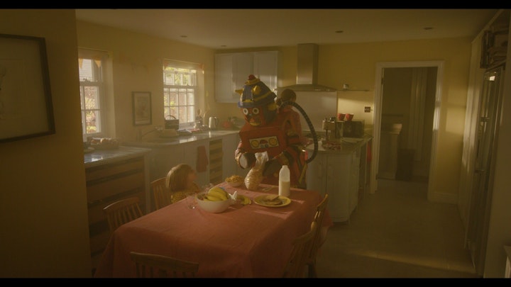ROBOT LADY