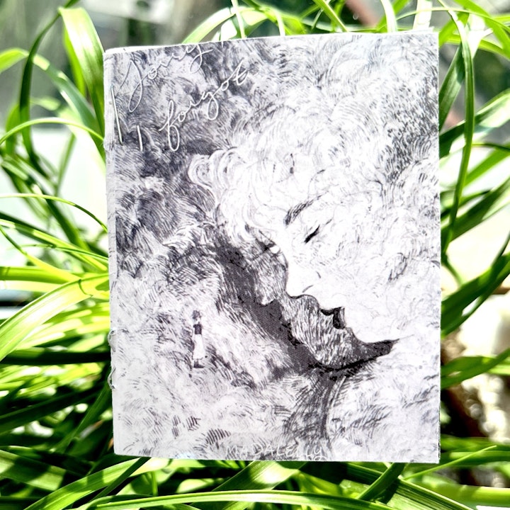 Sorry, I forgot. Zine