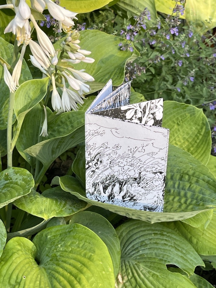 Two Rabbits Zine