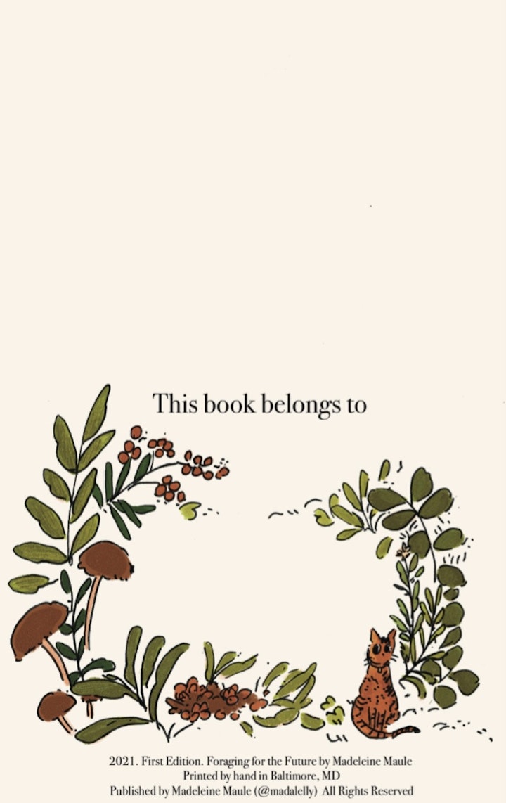 Foraging for the Future
