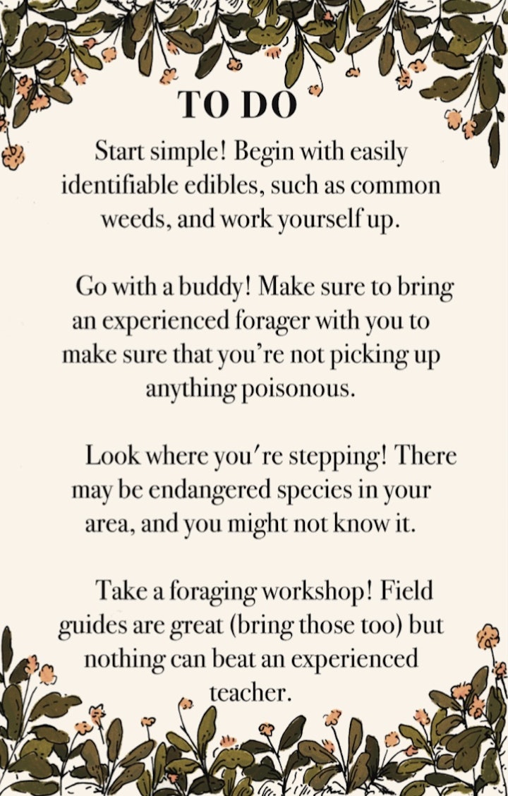 Foraging for the Future - 6