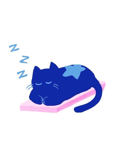 Cat_Sleep_ Large