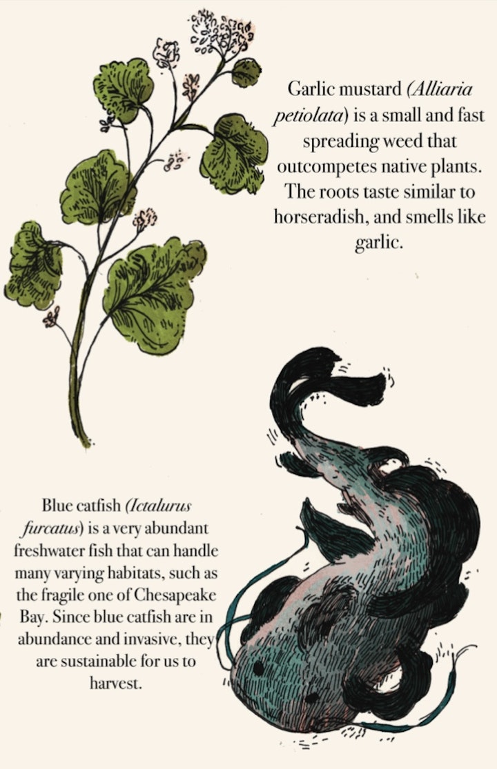 Foraging for the Future - 4
