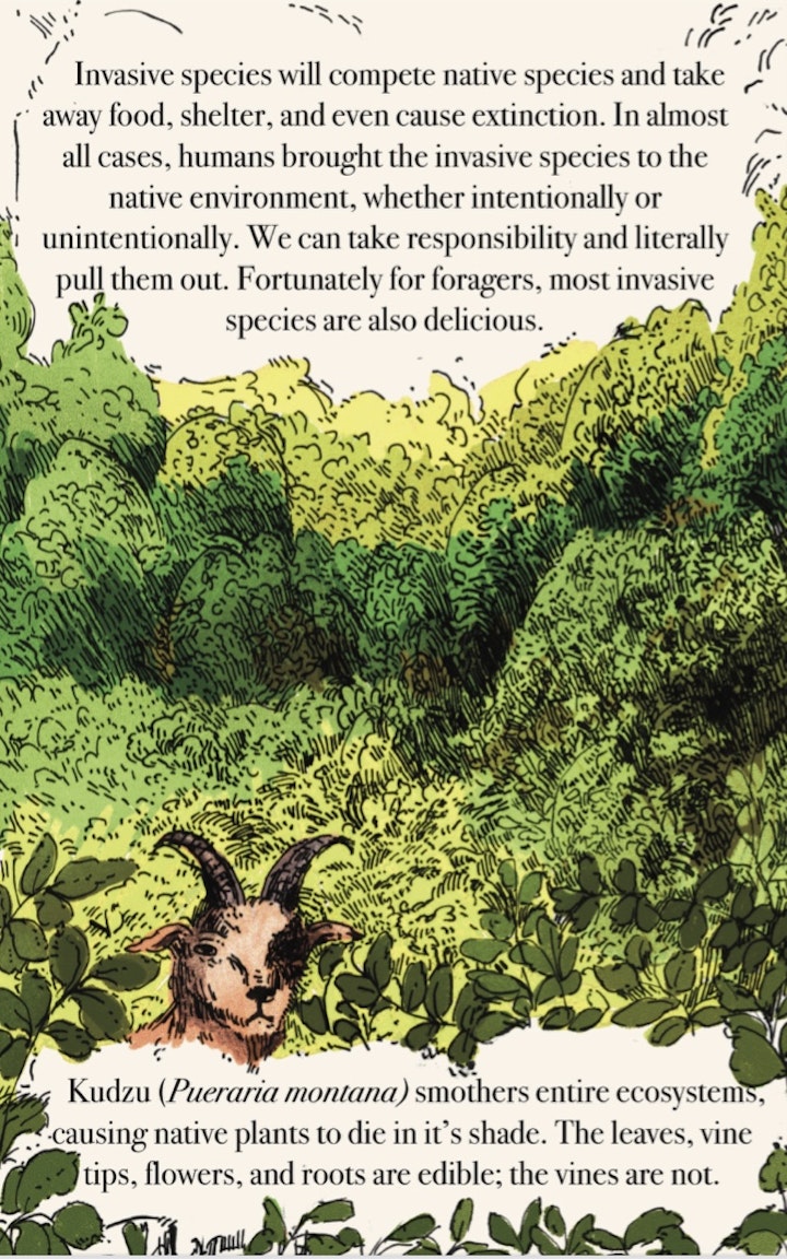 Foraging for the Future - 3