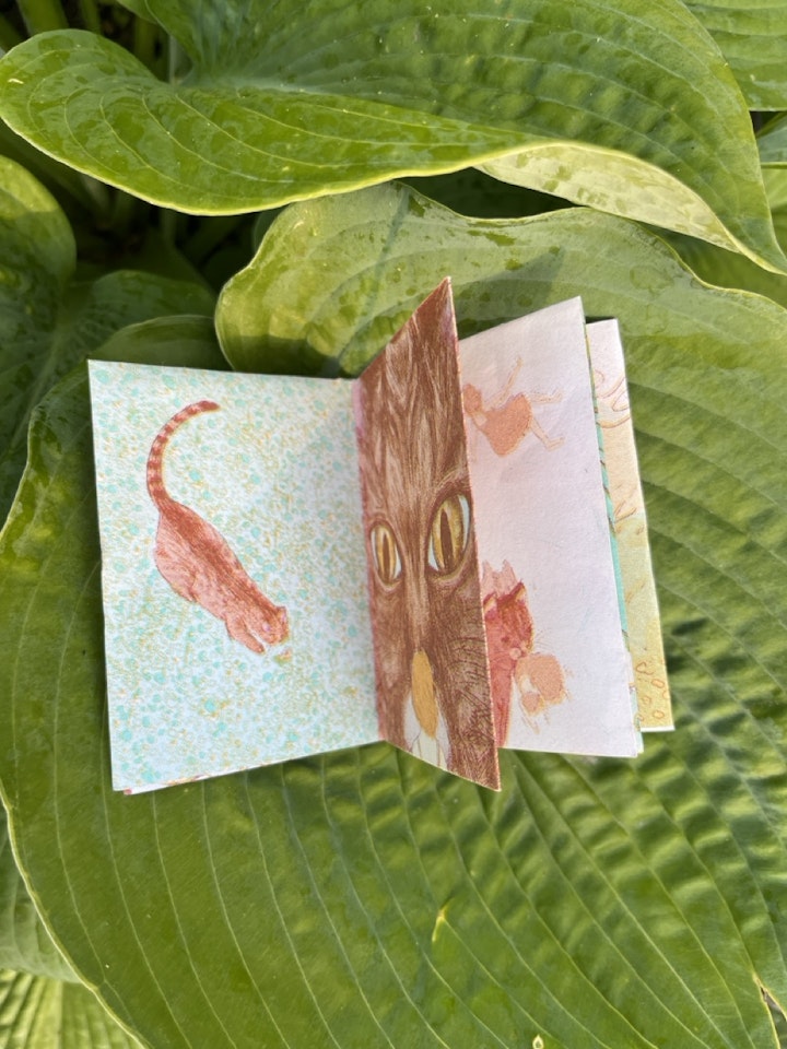 The First Meeting Zine