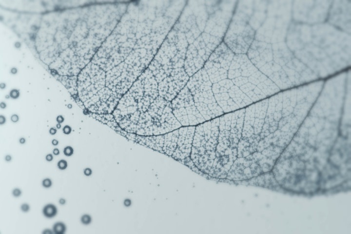 REVITALASH COSMETICS • SENSITIVE LASHES