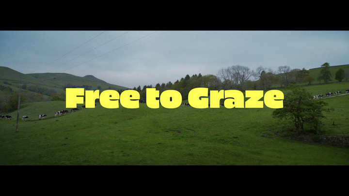 Free to Graze