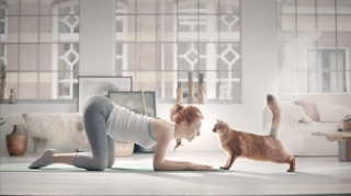 PURINA - Perfect Fit