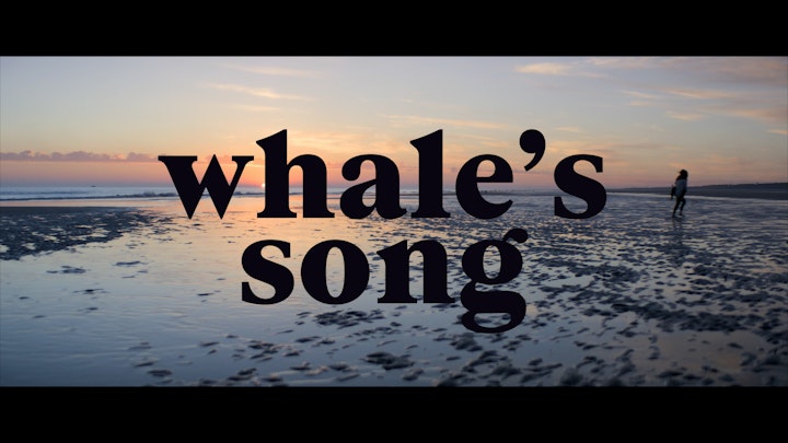 Whale's Song - STILLS.00_04_36_10.Still016