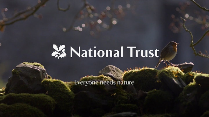 national trust - single shot - 