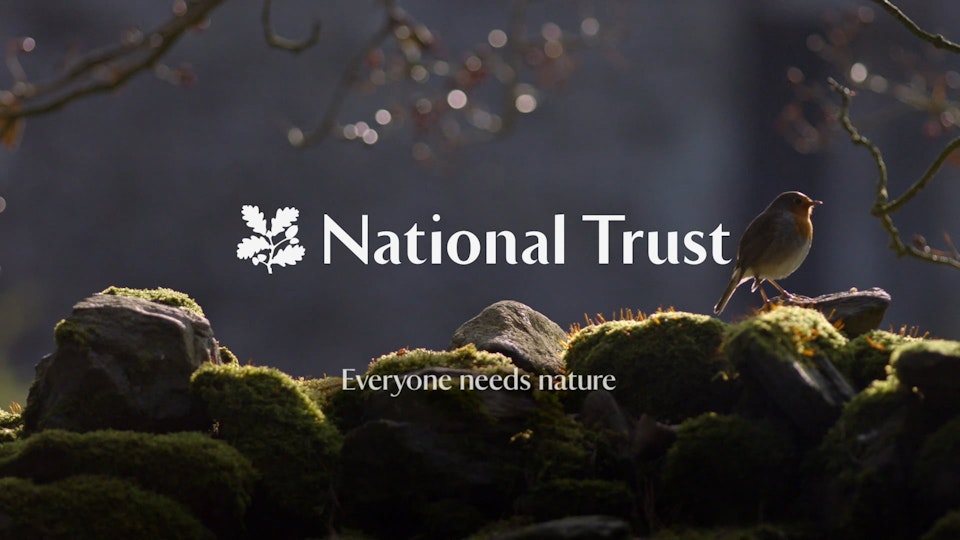 national trust - single shot -