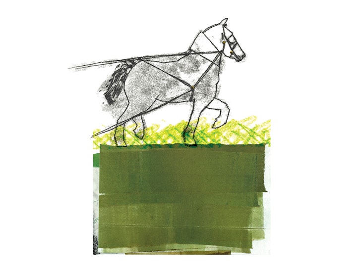 Horse2
