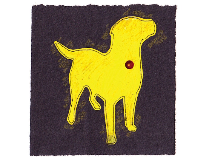Yellow Labrador
