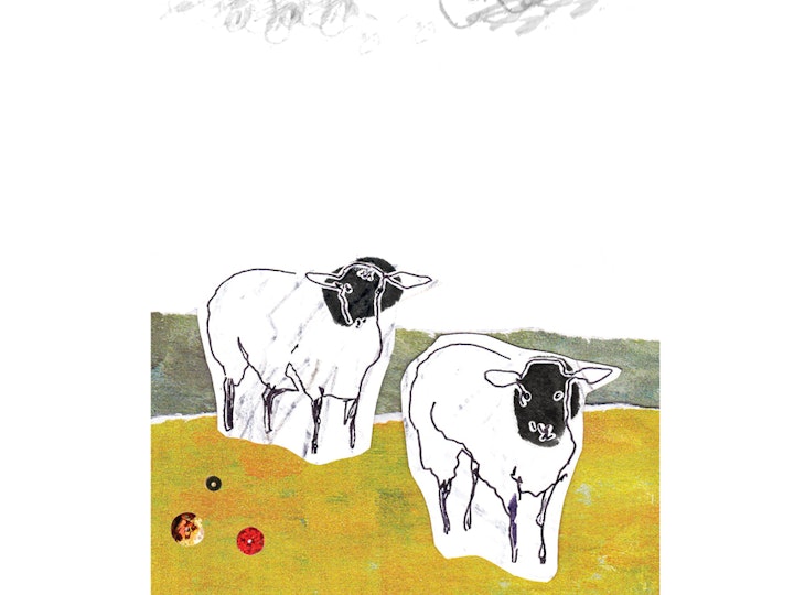 Sheep