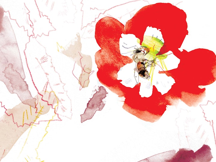 Bee3