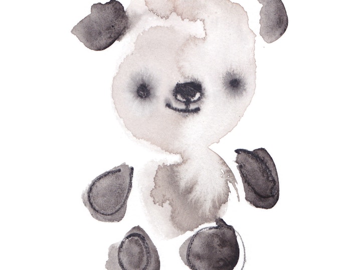 Teddy2