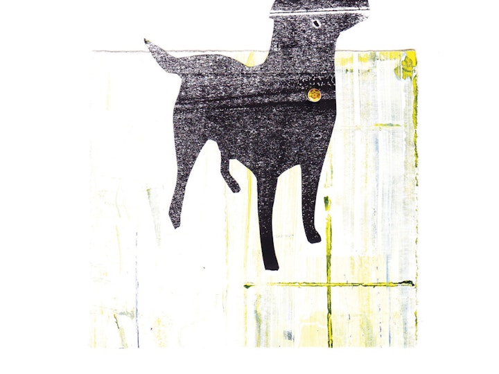 Black Labrador