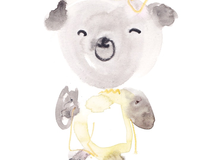 Teddy