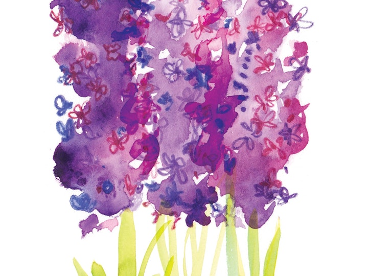 Hyacinths