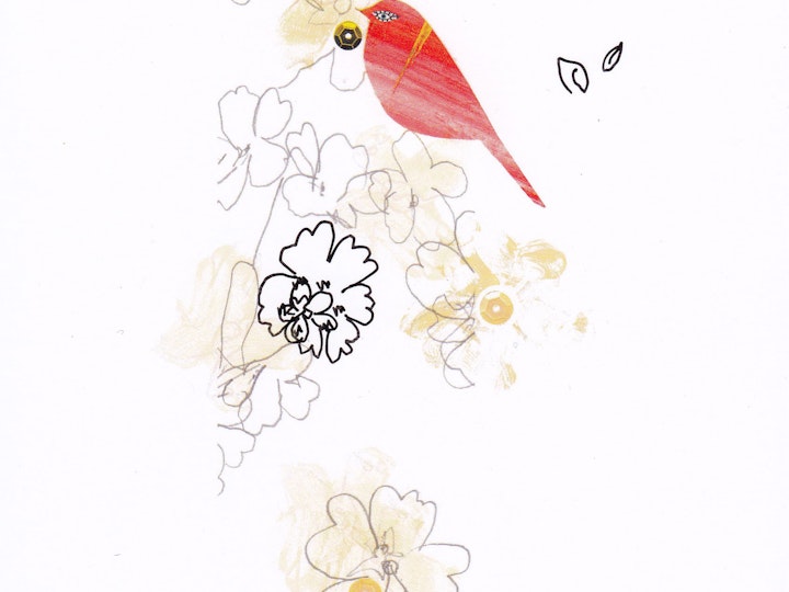 Bird red (collage3)