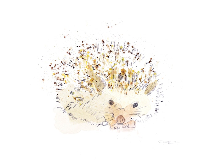Spike the hedgehog!