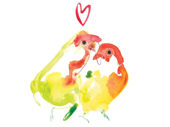 Lovebirds