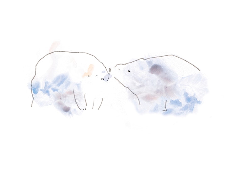 Polar Bears