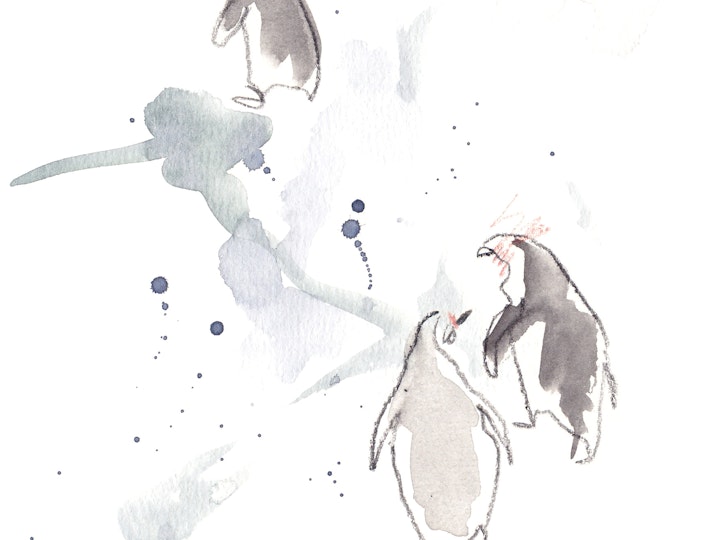 Penguins