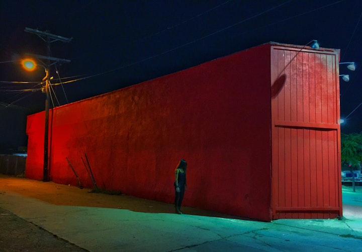 Red Block. Venice, CA. - 2016