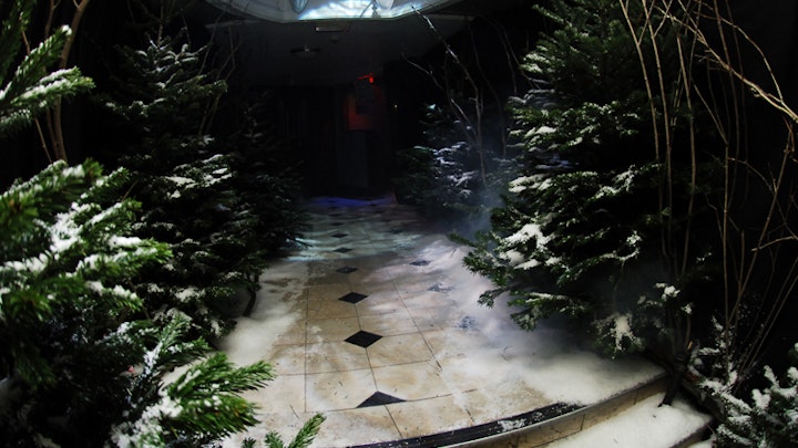 WIZARD OF OZ PARTY @ PACHA NIGHTCLUB