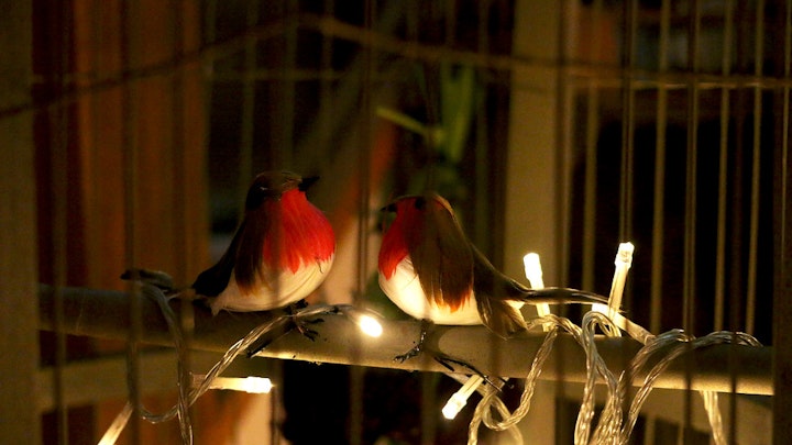 CHRISTMAS CABARET CLUB @ THE COTTAGE