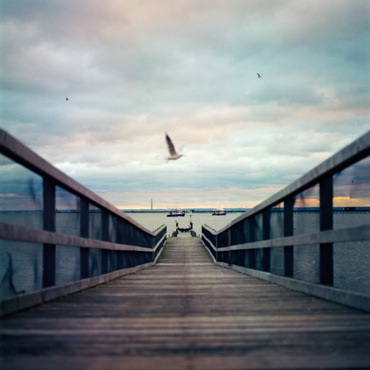 Southend on Sea - Southend on Sea. 120 Portra 400.