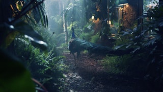DFS 'Animals' / Director: Freddie Powell / Drool