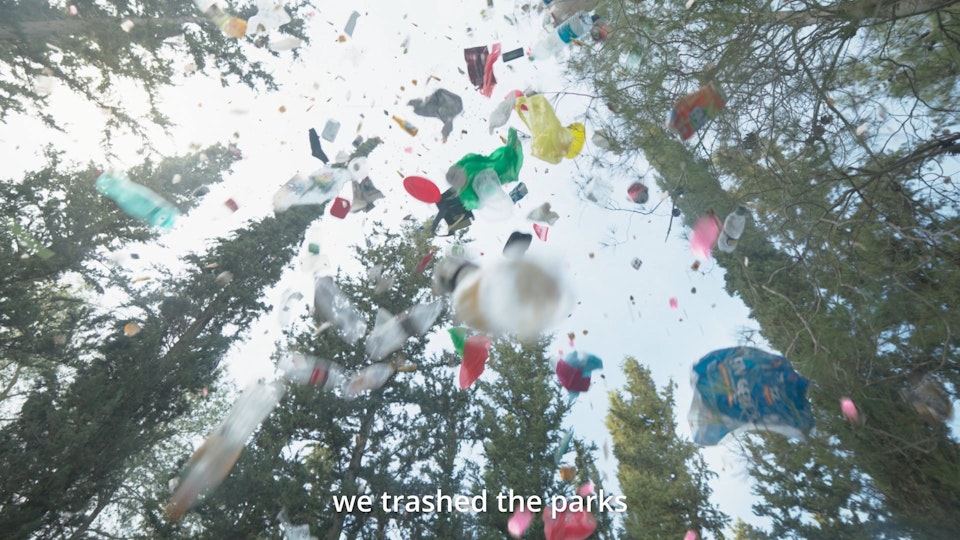 we trash the forests