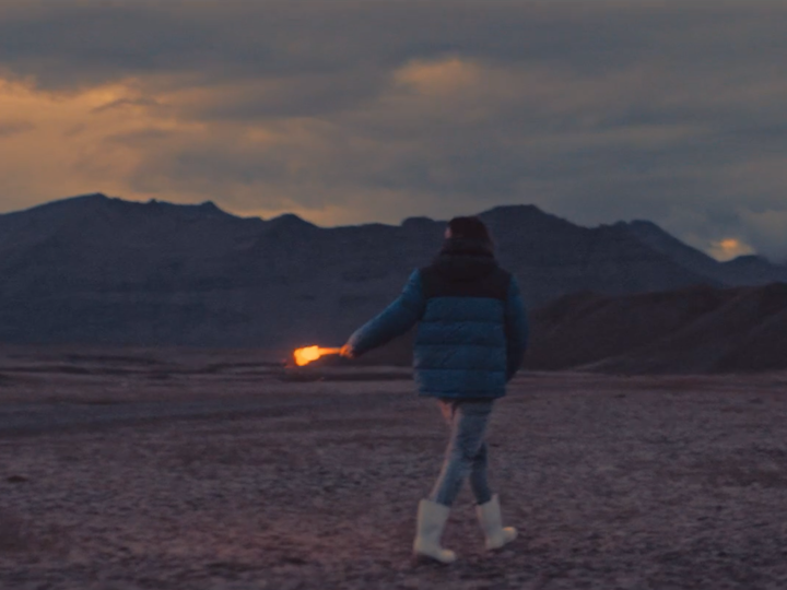 AMERICAN EAGLE HOLIDAY | MICHAEL GOLDBERG